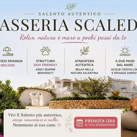 Masseria Scaledda 乡村民宿
