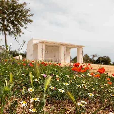 Masseria Scaledda Country house