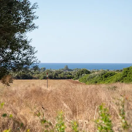 Летний дом Masseria Scaledda