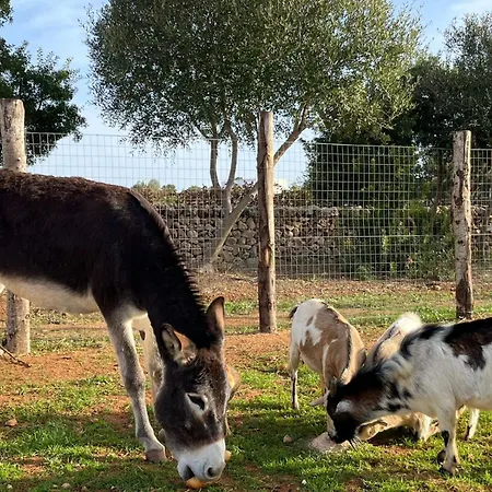 컨트리하우스 Masseria Scaledda 마두리아