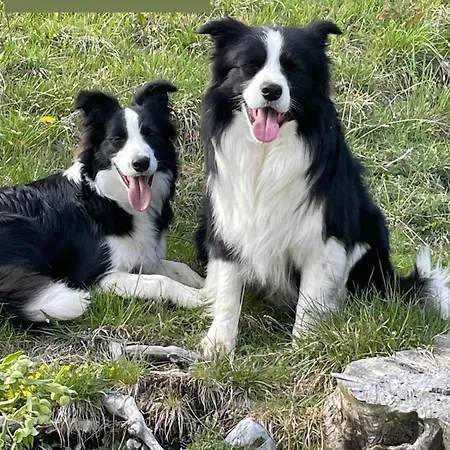 Masseria Scaledda 컨트리하우스 마두리아