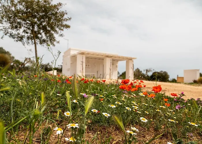 Masseria Scaledda Gospodarstwo wiejskie