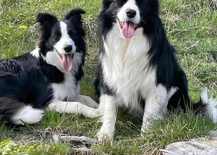 Masseria Scaledda Lantställe Manduria